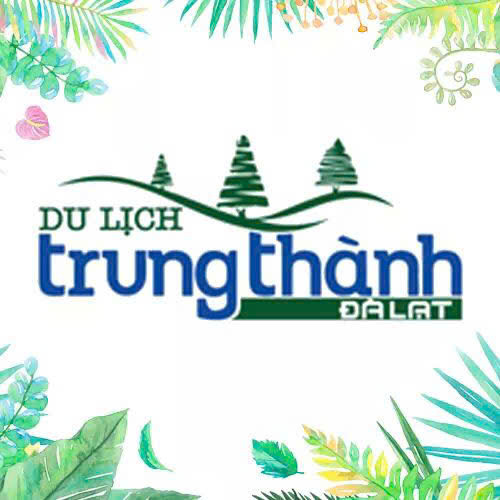 Thuê xe ô tô dalat